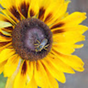 Meet your Posher, Helena